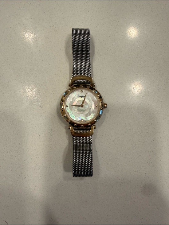 Salvatore Ferragamo Stainless Steel Two-Tone Backcase Watch - Silver & Gold main image 9
